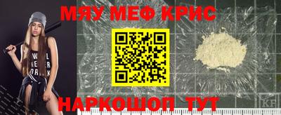 индика Гатчина