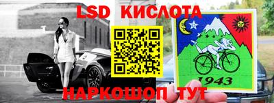 индика Гатчина