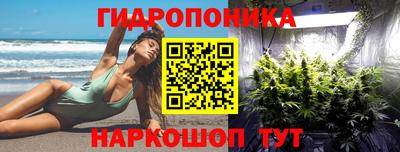 индика Гатчина