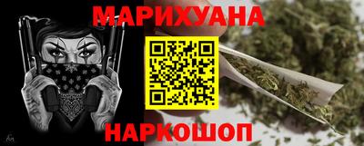 индика Гатчина