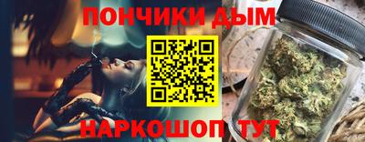 индика Гатчина