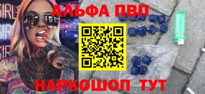 индика Гатчина