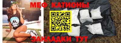 индика Гатчина