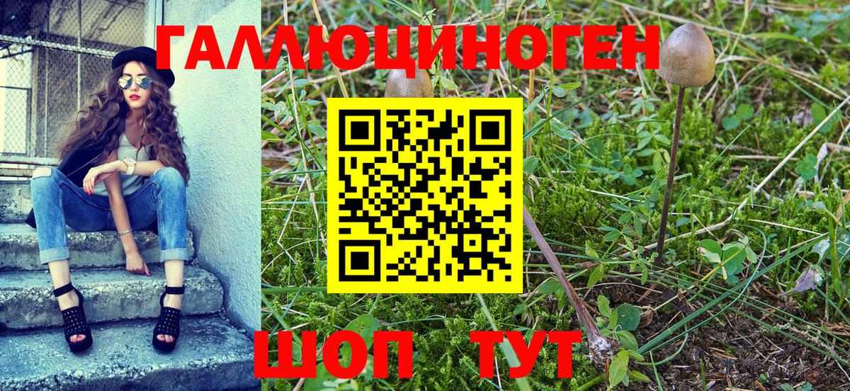 Псилоцибиновые грибы мицелий Зеленодольск